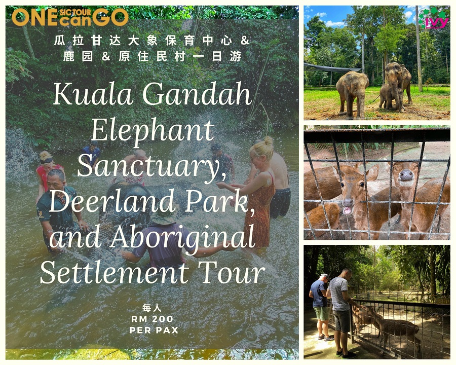 One Can Go SIC Tour - Kuala Gandah Elephant Sanctuary, Deerland Park, and Aboriginal Settlement Tour 